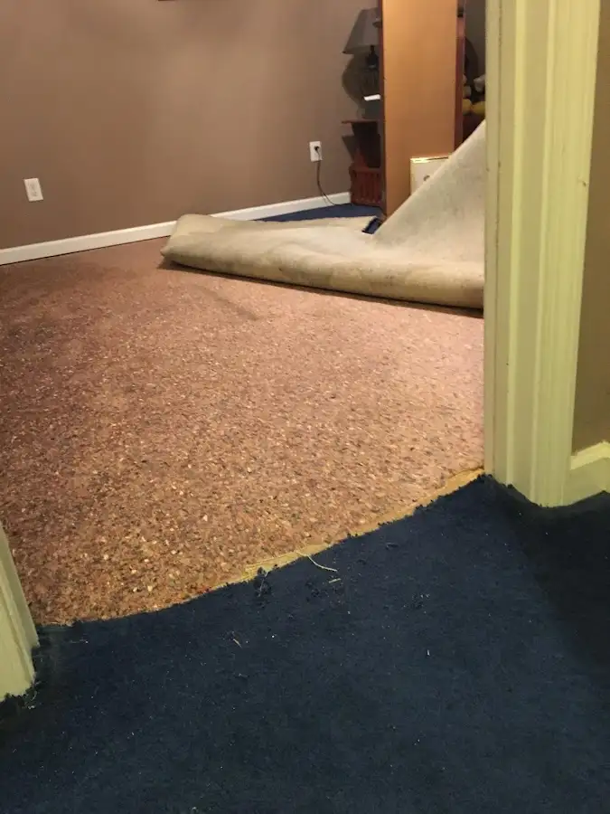 Carpet pad removal revealing water damage during Water Mitigation Services in Springfield