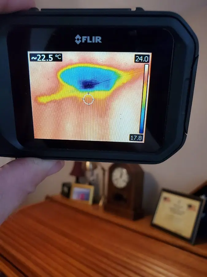 Thermal imaging inspection for water damage in Springfield